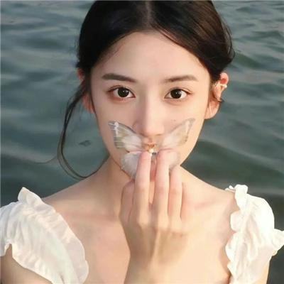 小姐与流浪汉